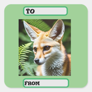 Adesivo Quadrado Cunning Fennec Fox,