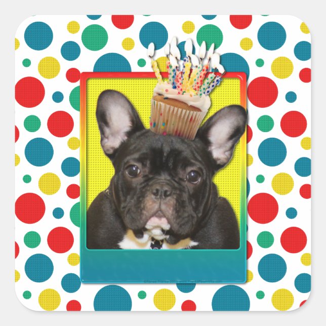 Adesivo Quadrado Cupcake de aniversário - Cão-Grande Francês - Teal (Frente)