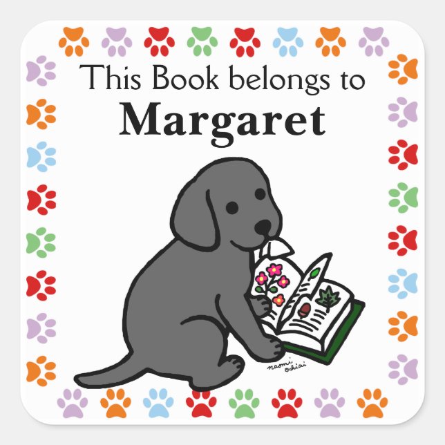 Adesivo Quadrado Curioso Black Labrador Puppy (Frente)