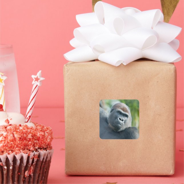 Adesivo Quadrado Curious Gorilla Standing Tall (Festa)