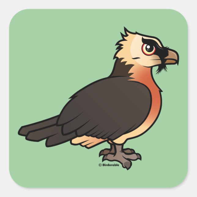 Adesivo Quadrado Cute Lammergeier (Frente)