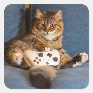 Adesivo Quadrado Cute Little Tabby Cat Gamer Kitty