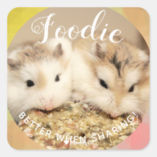 Adesivo Quadrado Cute Robo Hamsters Foodie