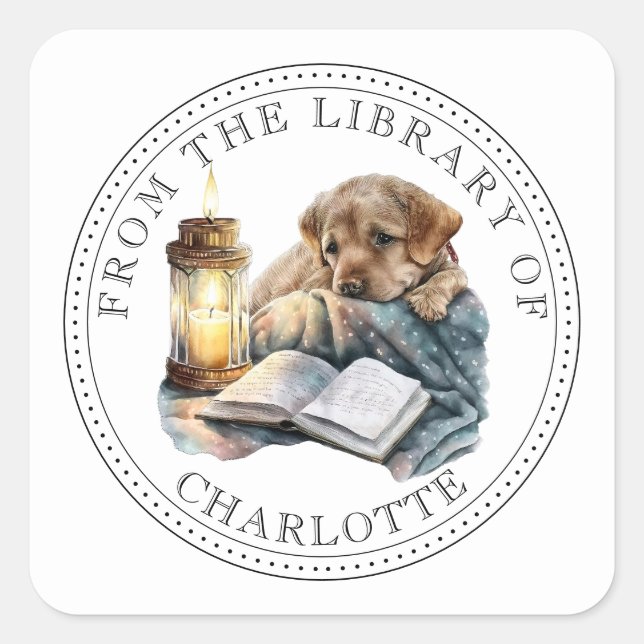 Adesivo Quadrado Da Biblioteca De Ex-Libris Ilustrado (Frente)