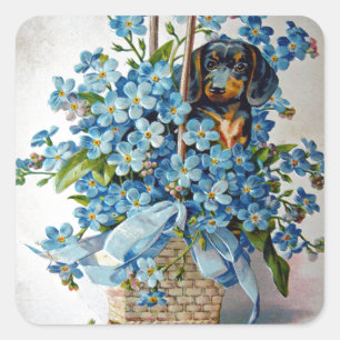 Adesivo Quadrado Dachshund e Forget-Me-Nots