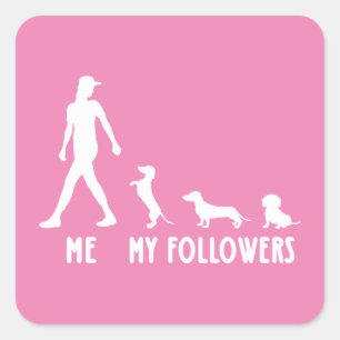 Adesivo Quadrado Dachshund, Meus Seguidores, Camisa Dachshund Lover