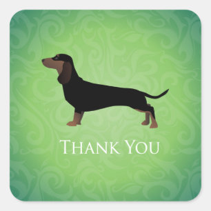 Adesivo Quadrado Dachshund Obrigado Design