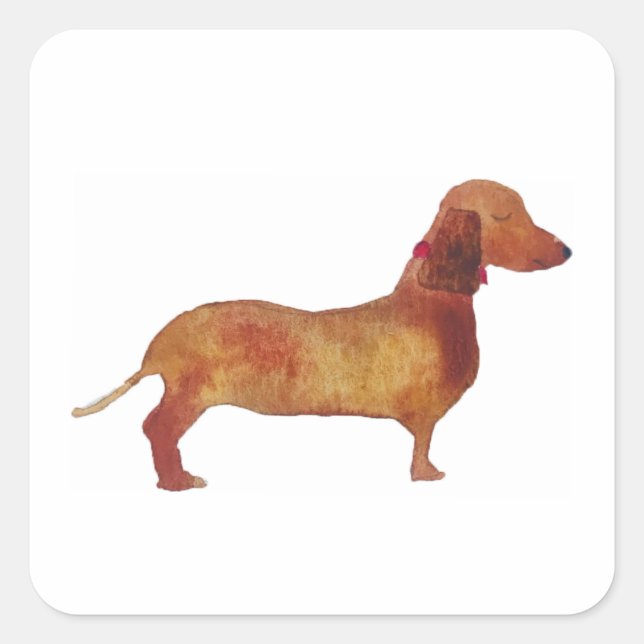Adesivo Quadrado Dachshund Stickers (Frente)
