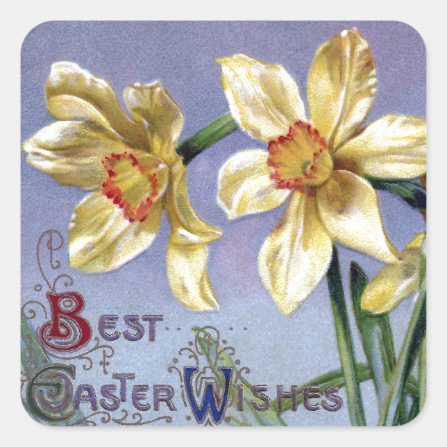 Adesivo Quadrado Daffodils de Páscoa de vindima (Frente)