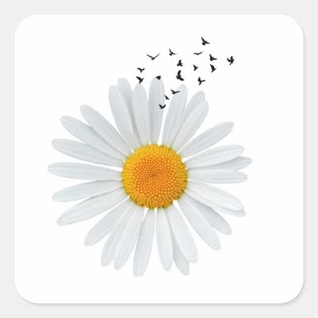 Adesivo Quadrado Daisy Flower com bando de aves (Frente)