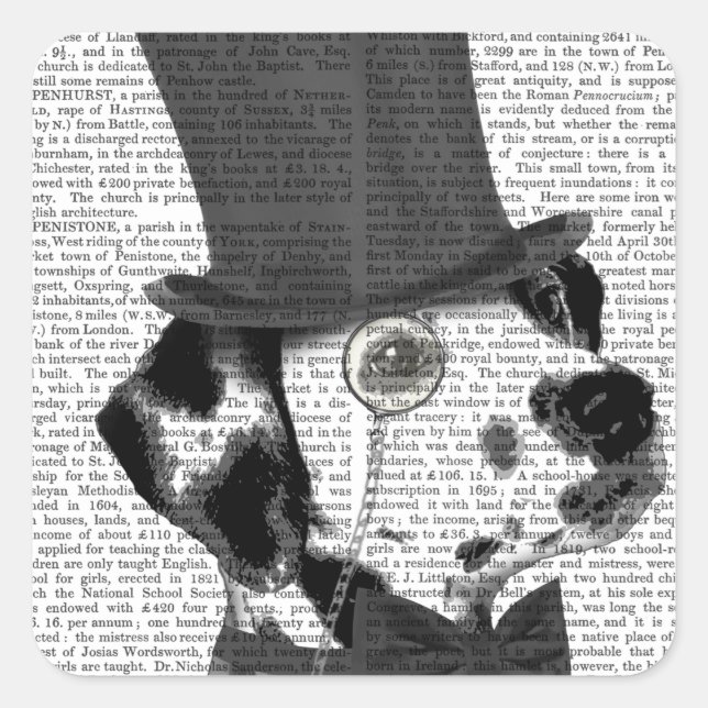 Adesivo Quadrado Dalmácia, Formal Hound e Chapéu (Frente)