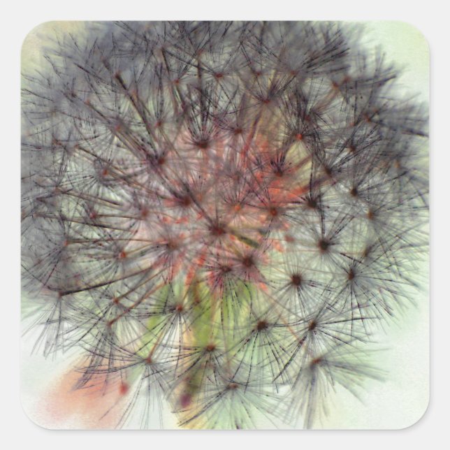 Adesivo Quadrado Dandelion Seed Head (Frente)