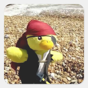 Adesivo Quadrado Danny Duck o Pirata