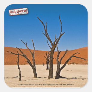 Adesivo Quadrado Deadvlei