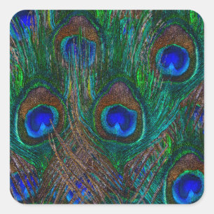 Adesivo Quadrado Decoração do Estilo de Penas de Peacock à Meia-