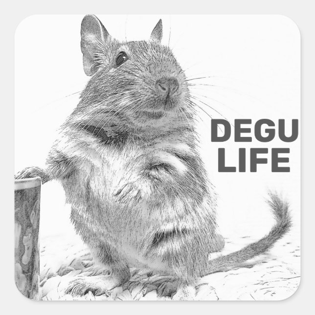 ADESIVO QUADRADO DEGU LIFE (Frente)