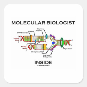 Adesivo Quadrado Dentro de Biólogo Molecular (Replicação de DNA)