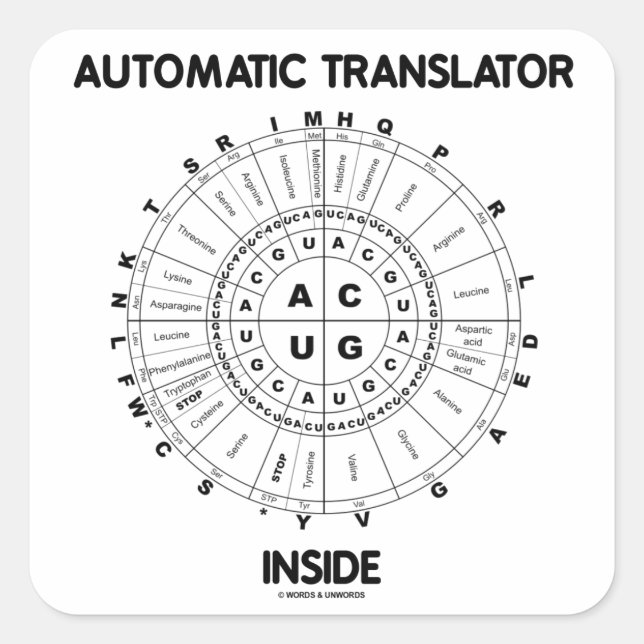 Adesivo Quadrado Dentro de tradutor automático (RNA Codon Wheel) (Frente)