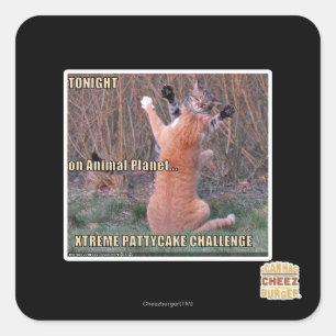 Adesivo Quadrado Desafio de Xtreme PattyCake