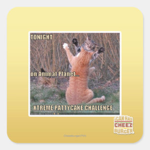 Adesivo Quadrado Desafio Xtreme PattyCake