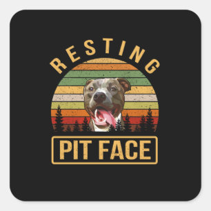 Adesivo Quadrado Descansar face Pitbull
