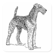 Desenho de Cão Elegante Airedale Terrier