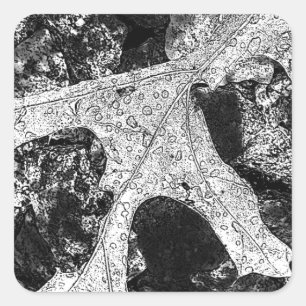 Adesivo Quadrado Desenho do esboço da folha