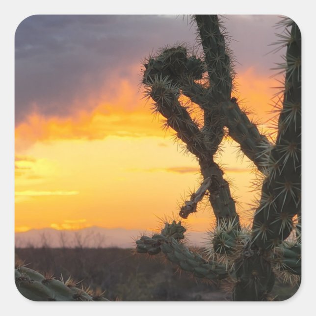 Adesivo Quadrado Desert Cactus Sunset (Frente)