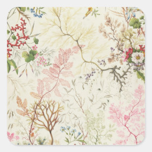 Adesivo Quadrado Design de algas marinhas para matérias de seda (m/