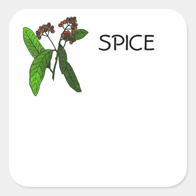 Adesivo Quadrado Design de Allspice para informações de Spice ou ID (Frente)