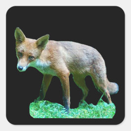 Adesivo Quadrado Design de Animal da Floresta Fofa de Raposa Vermel