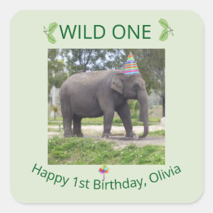 Adesivo Quadrado Design de Aniversário do Elefante Selvagem