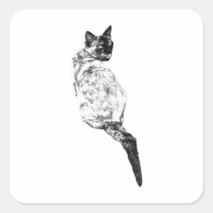 Adesivo Quadrado Design de Higiene de Gato Sereno