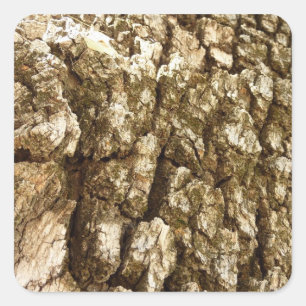Adesivo Quadrado Design de Textura Natural II Casca de Árvore