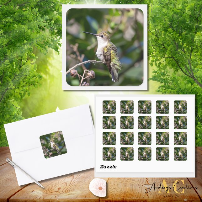 Adesivo Quadrado Design Hummingbird #4Q7A5301 (Criador carregado)