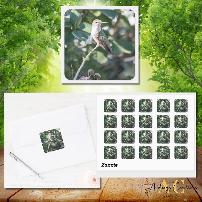 Adesivo Quadrado Design Hummingbird #4Q7A9974 (Criador carregado)