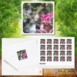 Adesivo Quadrado Design Hummingbird 8354