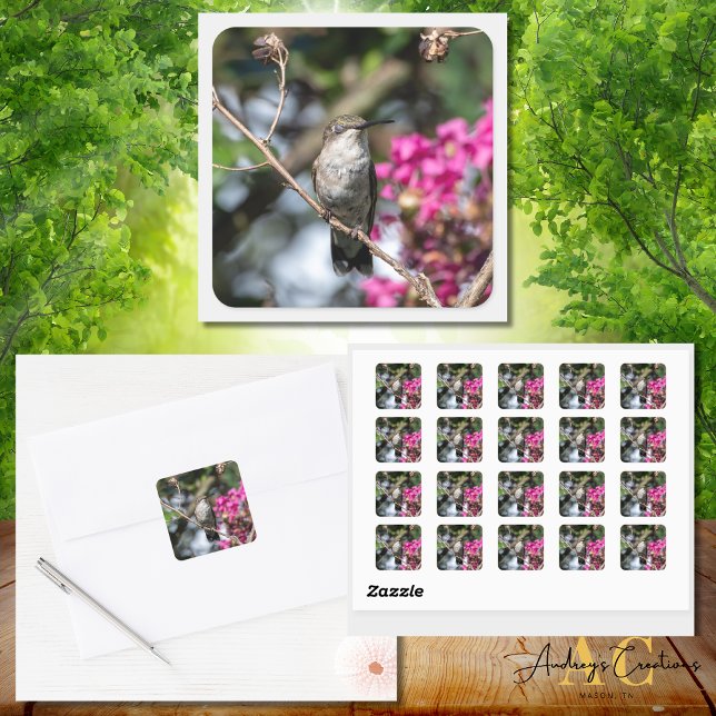 Adesivo Quadrado Design Hummingbird 8354 (Criador carregado)