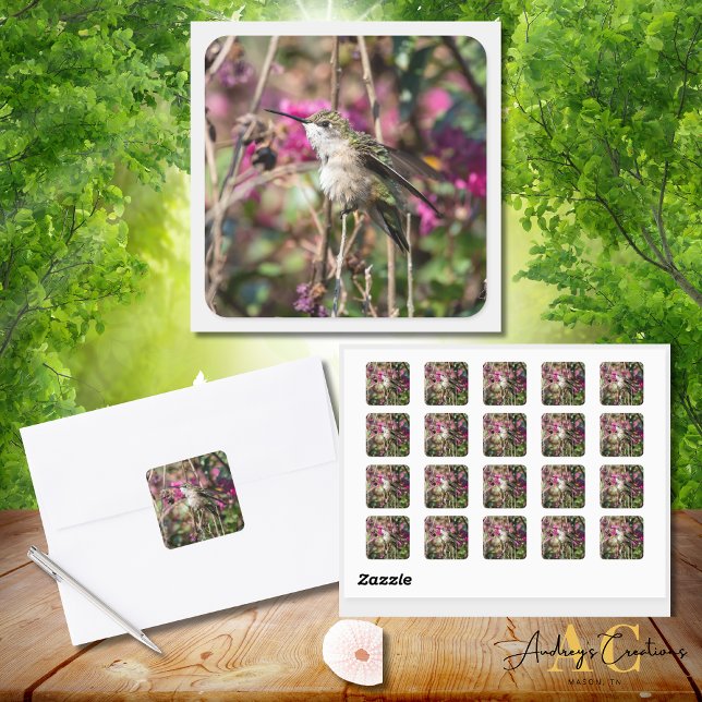 Adesivo Quadrado Design Hummingbird 8401 (Criador carregado)