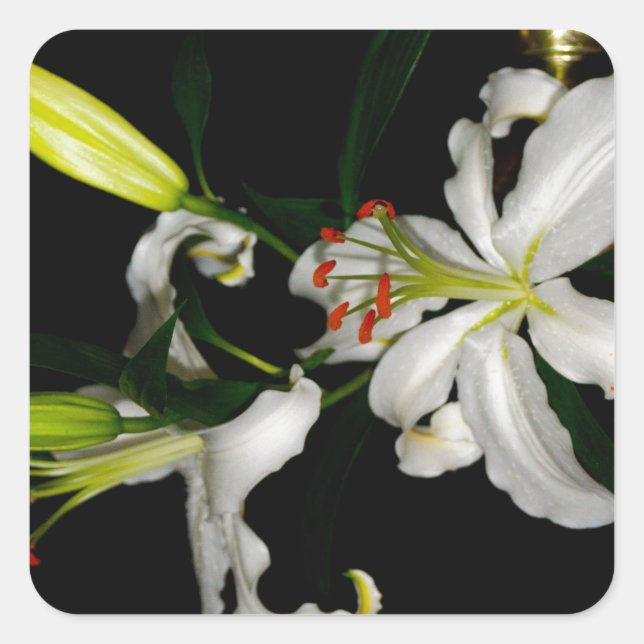 Adesivo Quadrado Design irlandês - Coleção de Flores (Frente)