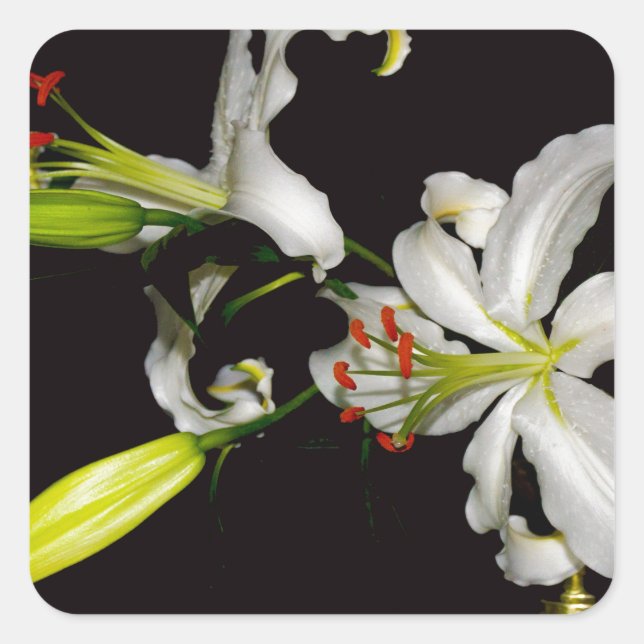 Adesivo Quadrado Design irlandês - Coleção de latas e flores (Frente)