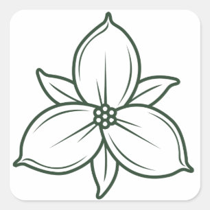 Adesivo Quadrado design linear elegante da flor do trillium