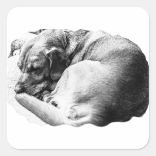 Adesivo Quadrado Deslizador doce