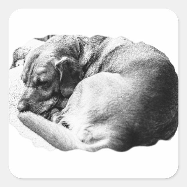 Adesivo Quadrado Deslizador doce (Frente)