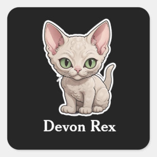 Adesivo Quadrado Devon Rex