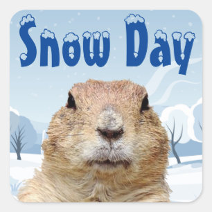 Adesivo Quadrado Dia da Neve do Groundhog