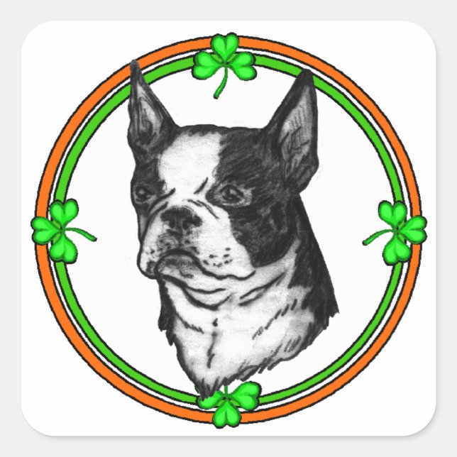 Adesivo Quadrado Dia de São Patrício de Boston Terrier (Frente)