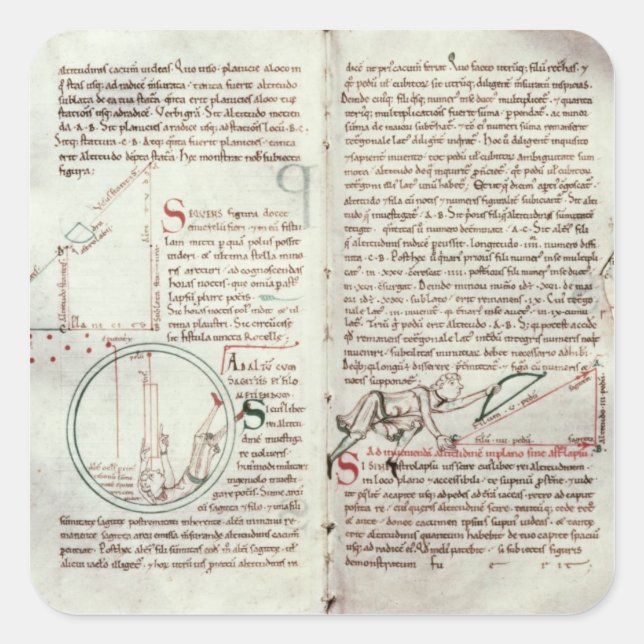 Adesivo Quadrado Diagramas das medições e do texto (velum) (Frente)