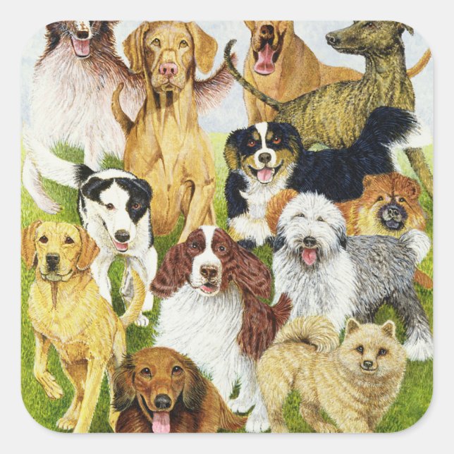 Adesivo Quadrado Dias Cães (Frente)