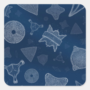 Adesivo Quadrado Diatomáceas - vida marinha microscópica